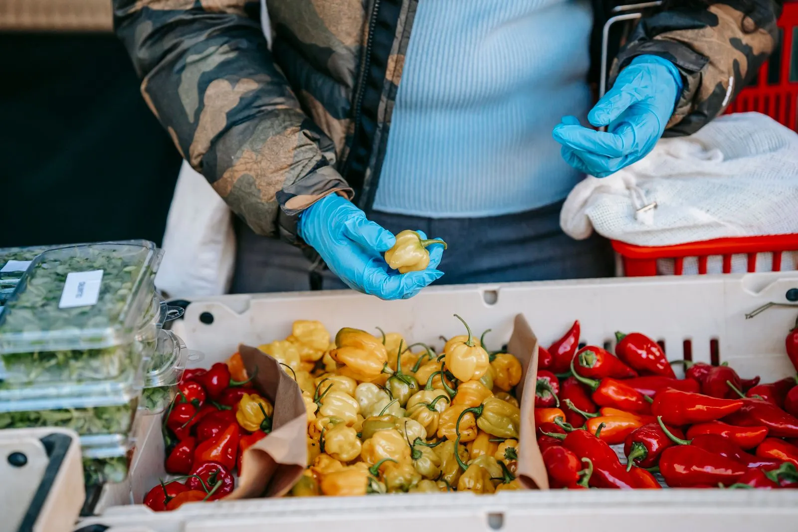 What Vendors Need for a Successful Outdoor Market